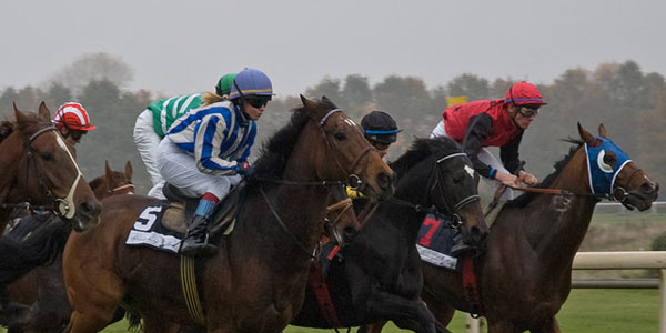 nachrichten-reitsport