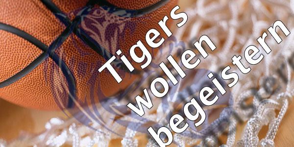 Tigers wollen begeistern