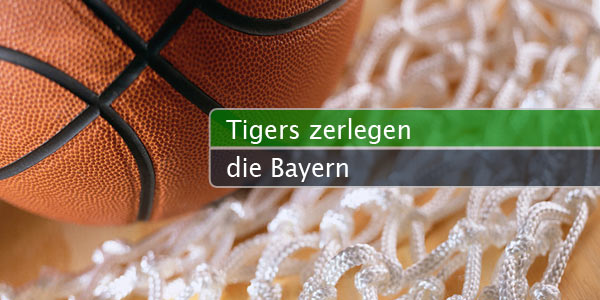 tigers-bayern