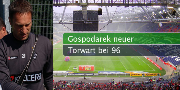 gospodarek