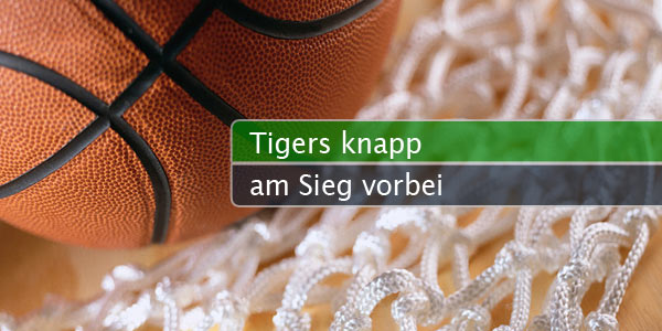 tigers-knapp