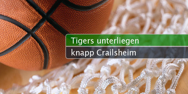 tiger-unterliegen