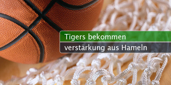 tigers-hameln