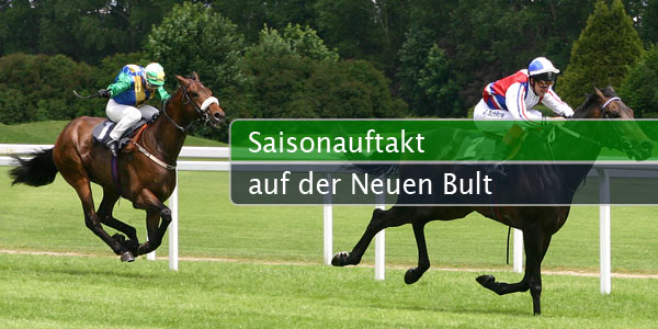 neue-bult