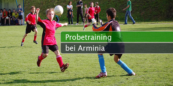arminia-probe