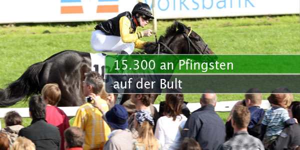 pfingsten-bult