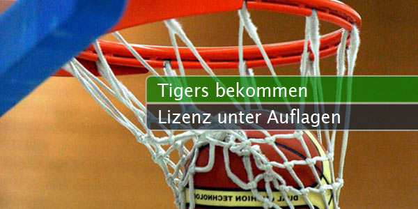 tigers-auflagen