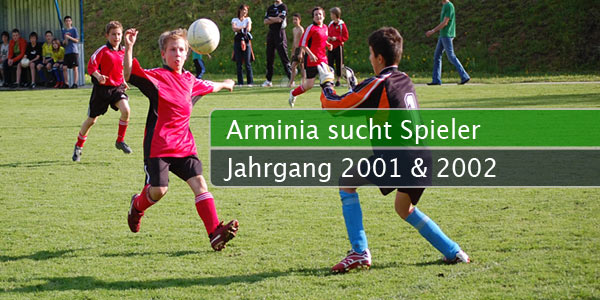 arminia-sucht