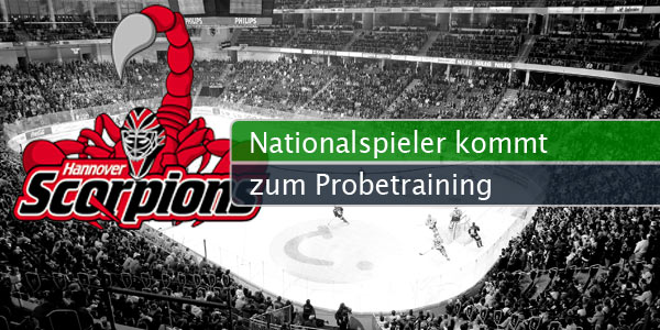 scorpions-spieler