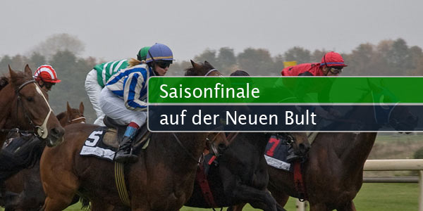 finale-bult