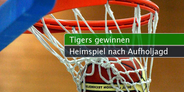 tigers-gewinnen-heim