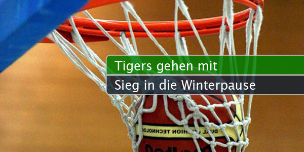 tigers-sieg