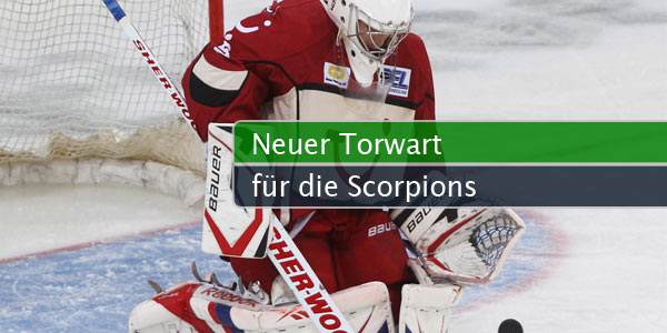 scorpions-goalie