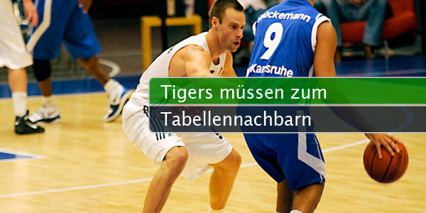 tigers-nachbar