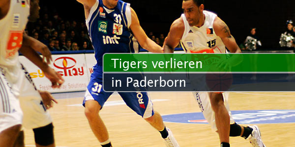 tigers-paderborn