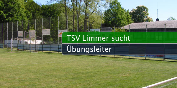 limmer-leiter