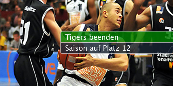 tigers-12