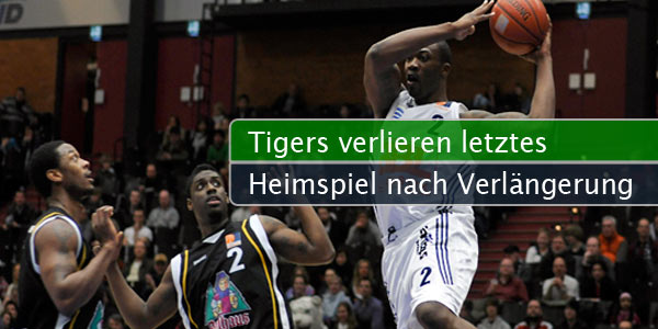 tigers-heim-verloren