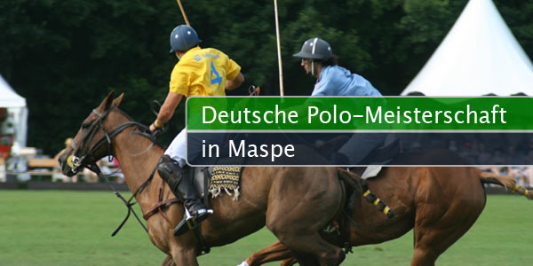dm-polo-maspe