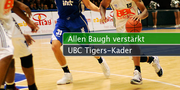 tigers-kader