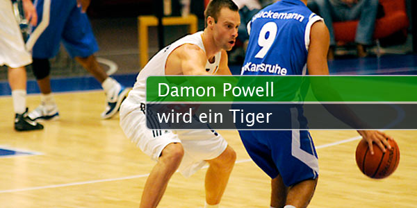 tigers-spieler