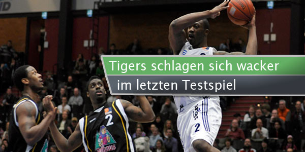 tigers-tespiel-wacker
