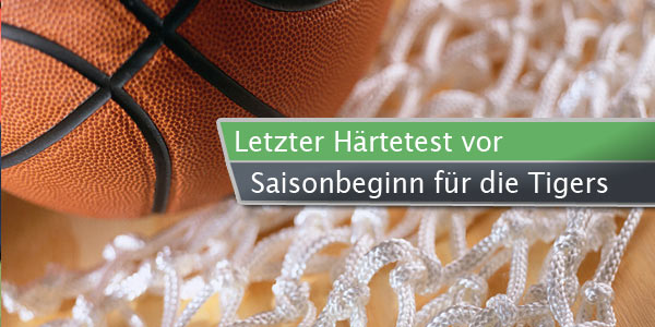 tigers-vor-saison