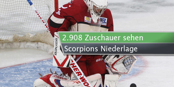 scorpions-ingolstadt