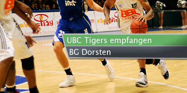 tigers-dorsten