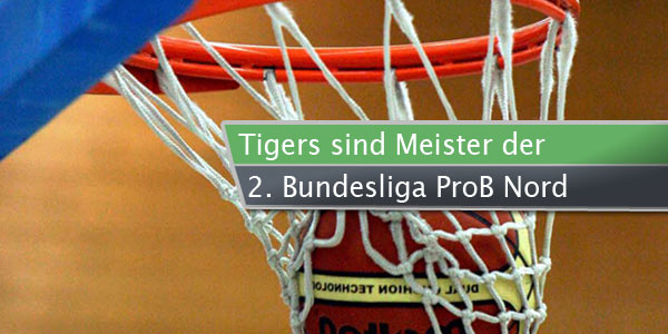tigers-meister
