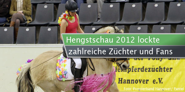 hengst2012-nachbericht