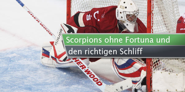 scorpions-ingolstadt