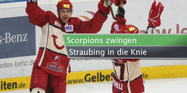 scorpions-straubing