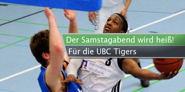 tigers-hotsamstag