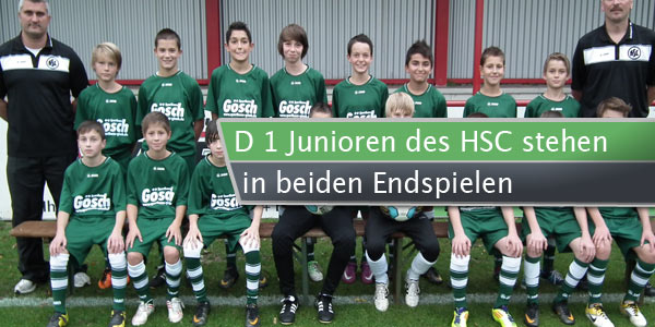 d1-hsc-endspiele