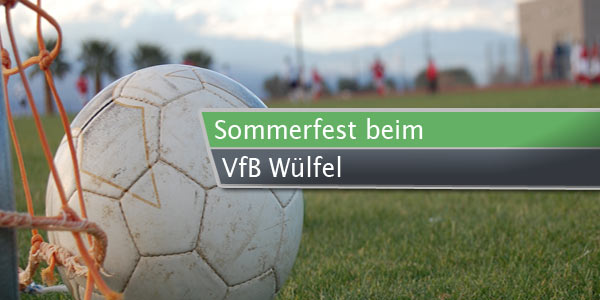 sommerfest-vfb