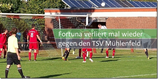 Fortuna-Mühlenfeld