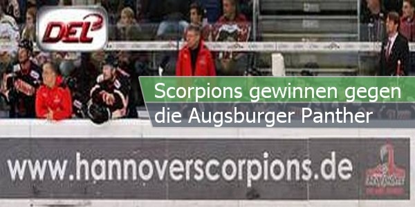 scorpions augsburg paint