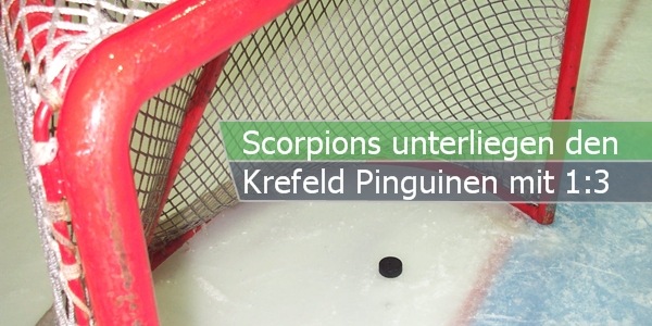 scorpions krefeld paint