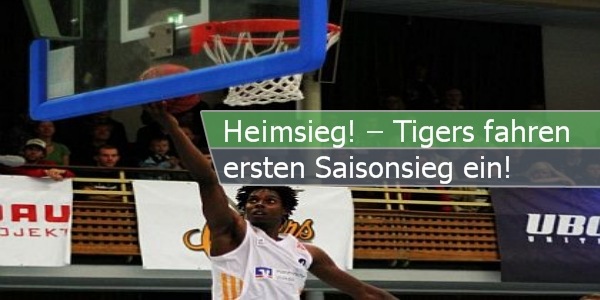 tigers heimsieg