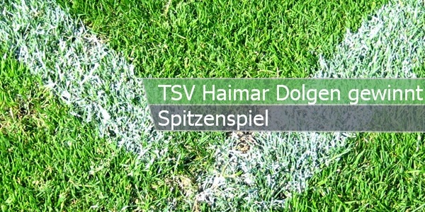 dolgen spitzenspiel paint