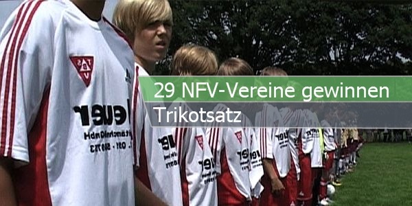 nfv trikot paint