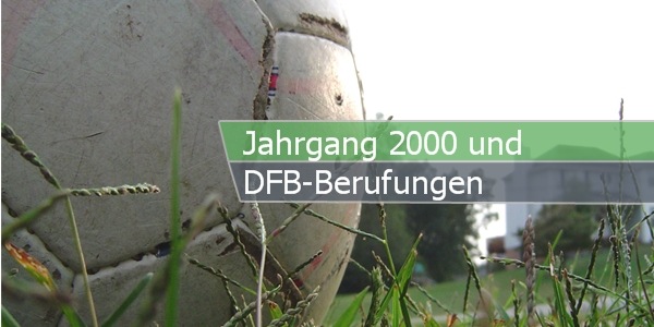 dfb berufung