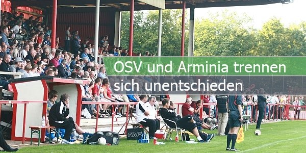 osv arminia paint