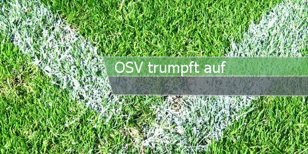 osv trumpft auf paint