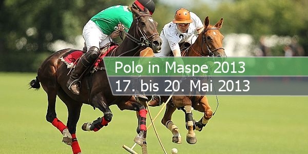 polo paint