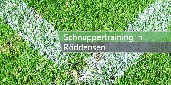 schnuppertraining