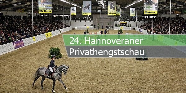 privathengstschau paint